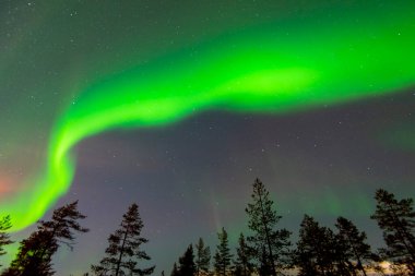 Laponya 'nın Kuzey Işıkları - Finlandiya