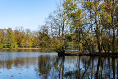 Nymphenburg Park 'taki Badenburger Gölü - Almanya