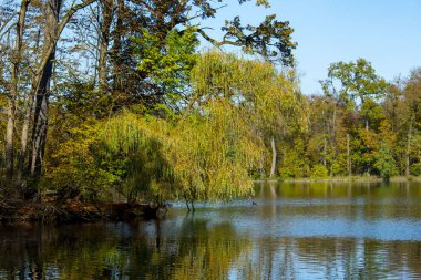 Nymphenburg Park 'taki Badenburger Gölü - Almanya