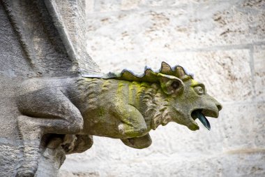 St. Paul Kilisesi 'ndeki Gargoyle - Münih - Almanya