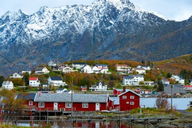 Lofoten 'deki Reine Balıkçılık Köyü - Norveç