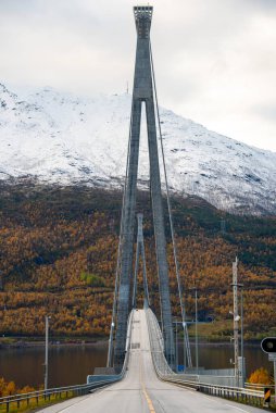 Narvik 'teki Halogaland Köprüsü - Norveç