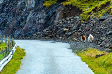 594 numaralı yol - Faroe Adaları