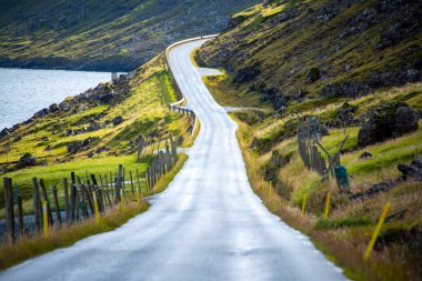 594 numaralı yol - Faroe Adaları