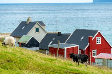 Sandvik Kasabası - Faroe Adaları