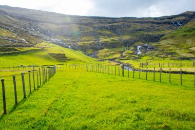 Faroe Adalarındaki Koyun Otlağı