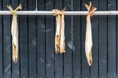 Hava Kurutulmuş Fermente Balığı - Faroe Adaları