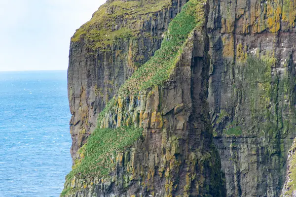 Asmundarstakkur Basalt Deniz Kayalıkları - Faroe Adaları