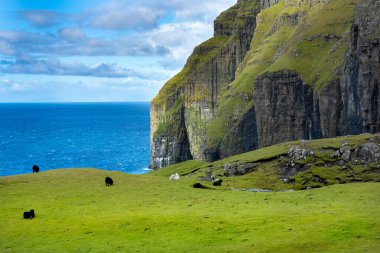 Asmundarstakkur Kayalıklarında Koyun Çayırı - Faroe Adaları