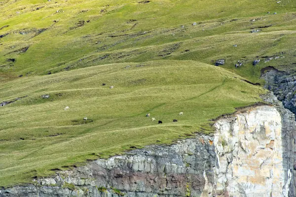 Köle Uçurumu (Traelanipa) - Faroe Adaları