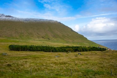 Küçük Ağaçlar Tarlası - Faroe Adaları