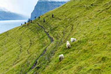 Kalsoy Adası 'ndaki Trekkerlar - Faroe Adaları
