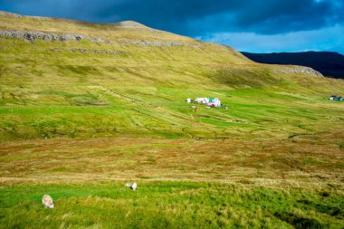 Suduroy Adası - Faroe Adaları Yerel Çiftliği