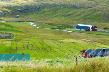 Suduroy Adası - Faroe Adaları Yerel Çiftliği