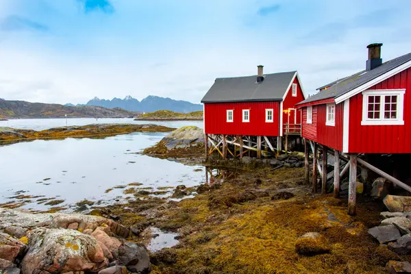 Svolvaer 'deki Rorbu Kulübeleri - Lofoten - Norveç
