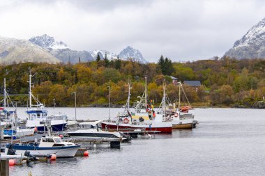 Lofoten - Norveç Sildpollen Limanı