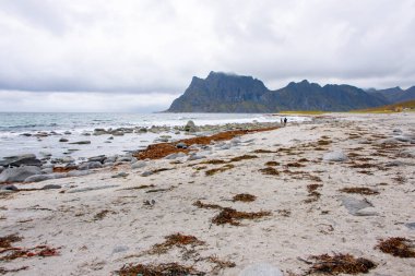 Lofoten 'deki Uttakleiv Plajı - Norveç