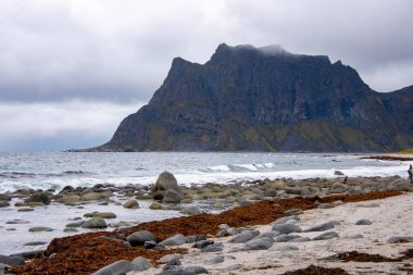 Lofoten 'deki Uttakleiv Plajı - Norveç