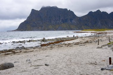 Lofoten 'deki Uttakleiv Plajı - Norveç