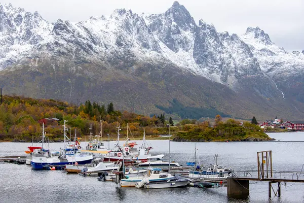 Lofoten - Norveç Sildpollen Limanı