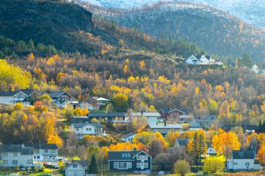 Finlandiya 'nın Talvik Köyü - Norveç