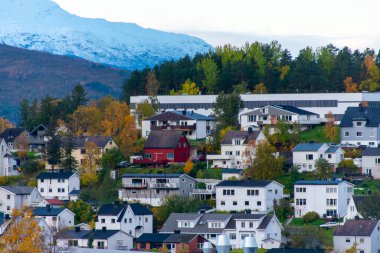 Narvik Kasabası - Norveç