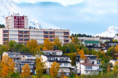 Narvik Kasabası - Norveç