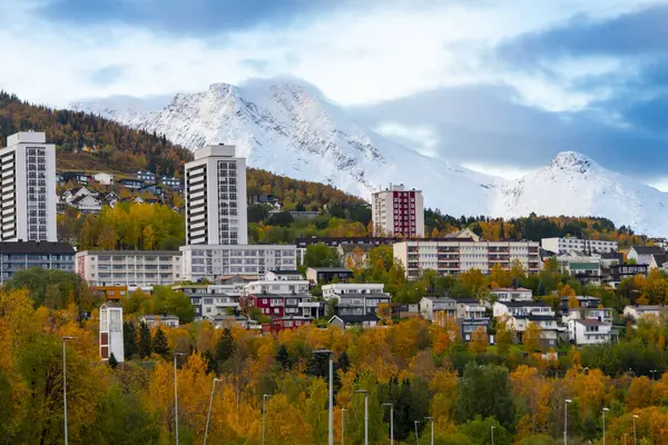 Narvik Kasabası - Norveç