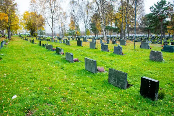 Finnmark County 'deki Alta Mezarlığı - Norveç