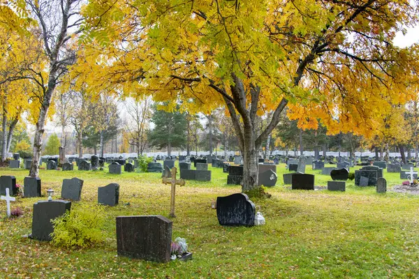 Finnmark County 'deki Alta Mezarlığı - Norveç