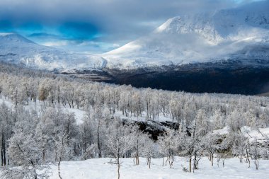 Sonbaharda Wintry Mix - Troms County - Norveç