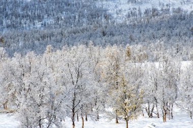 Sonbaharda Wintry Mix - Troms County - Norveç