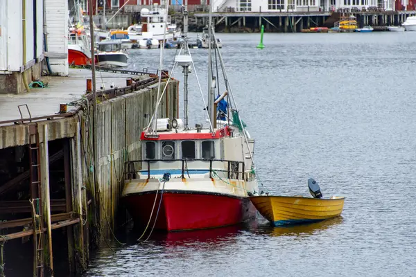 Henningsvaer Köyü, Lofoten - Norveç