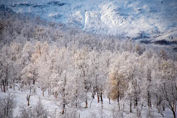 Sonbaharda Wintry Mix - Troms County - Norveç