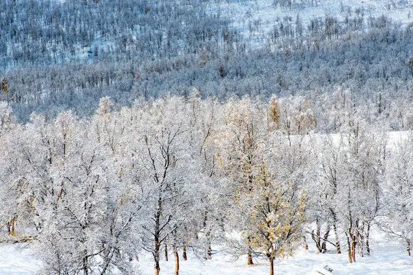 Sonbaharda Wintry Mix - Troms County - Norveç