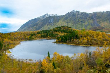 Nordland İlçesinde Sonbahar - Norveç