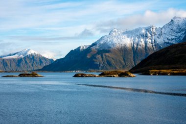 Lofoten 'deki Moskenes Adası' ndaki Torsfjord (Moskenesoya) Norveç