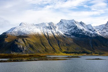 Lofoten 'deki Moskenes Adası' ndaki Torsfjord (Moskenesoya) Norveç