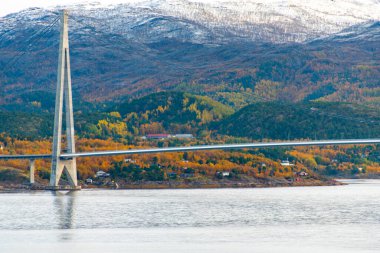 Narvik 'teki Halogaland Köprüsü - Norveç