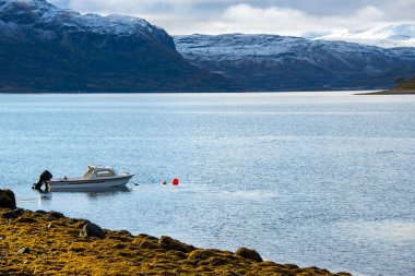 Straumfjordnes Köyündeki Deniz Koyu - Norveç