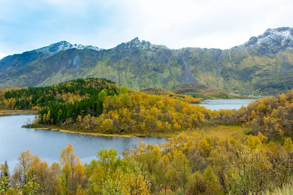 Nordland İlçesinde Sonbahar - Norveç