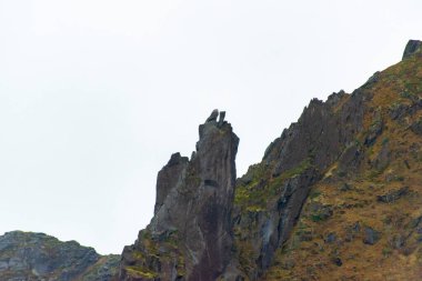 Svolvaer 'deki Svolvaergeita Tepesi - Norveç