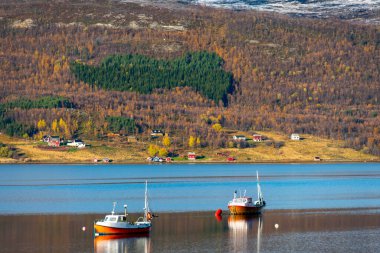 Burfjord Köyündeki Deniz Koyu - Norveç