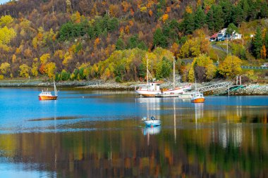Burfjord Köyündeki Deniz Koyu - Norveç