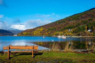 Burfjord Köyündeki Deniz Koyu - Norveç