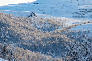 Sonbaharda Wintry Mix - Finnmark County - Norveç
