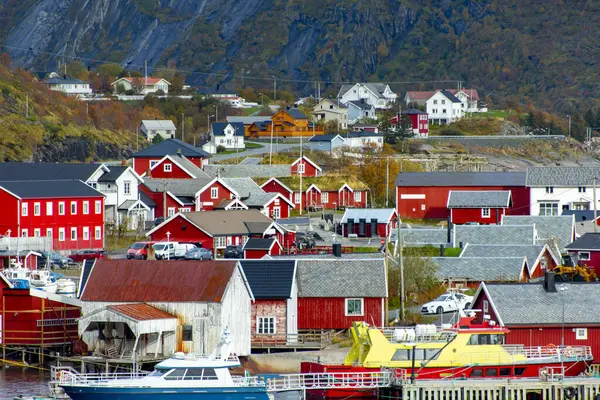 Lofoten 'deki Reine Köyü - Norveç