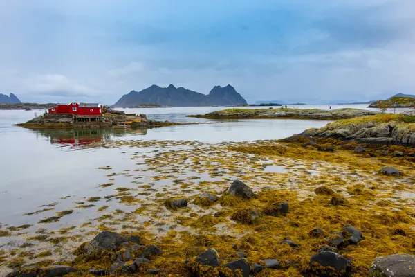 Svolvaer Körfezi - Lofoten - Norveç