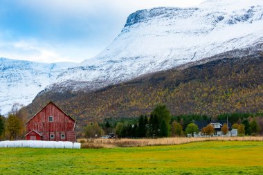 Troms County 'deki Yerel Çiftlik - Norveç