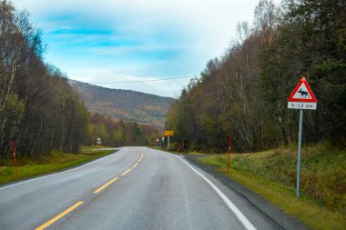 Geyik Geçidi İşareti - Norveç